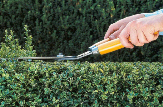 Landscaping Business