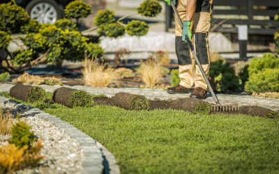 How To Start A Landscaping Business: The Complete Guide 2022
