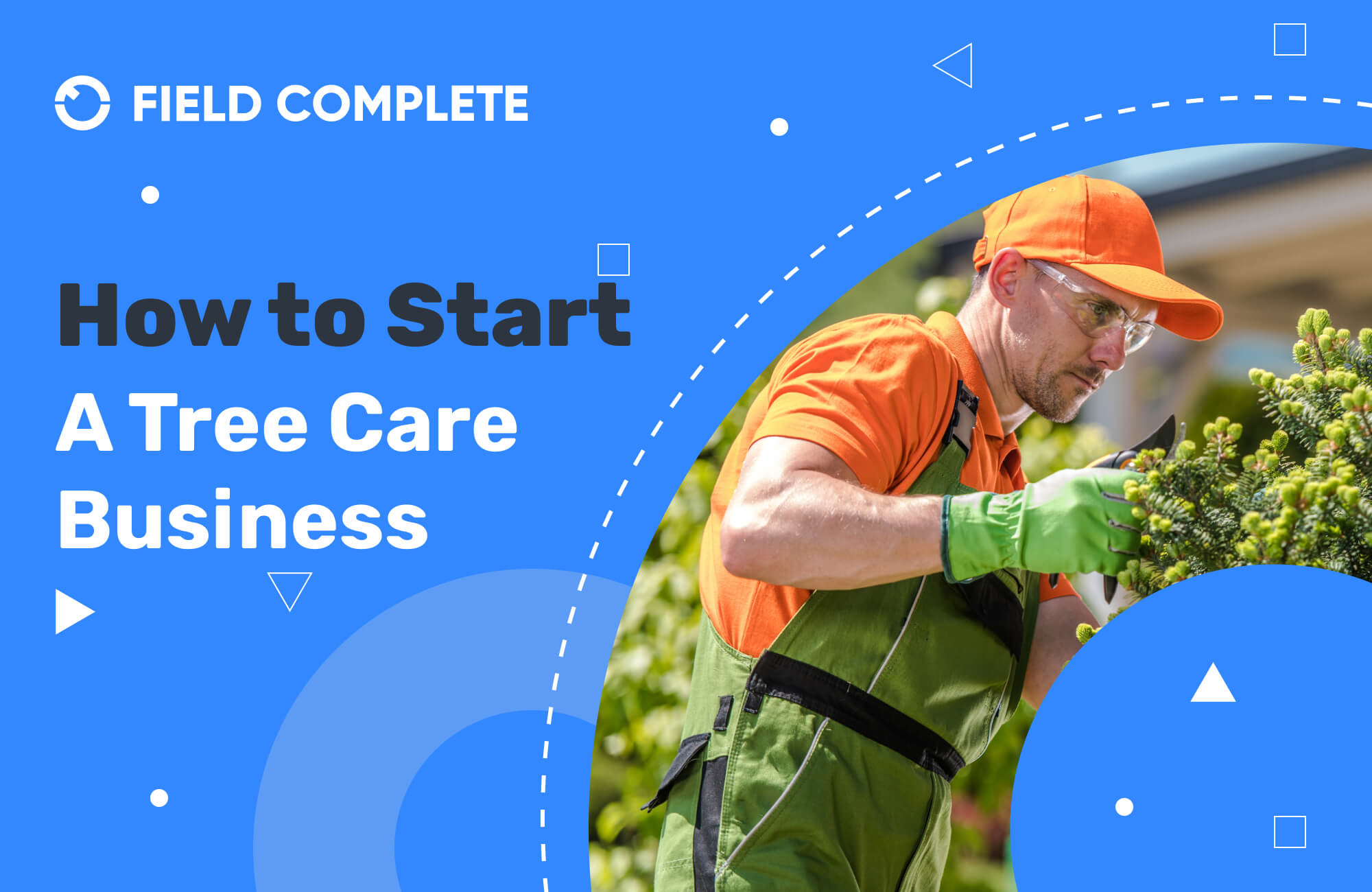 Tree Business. How to Start a Tree Care Business